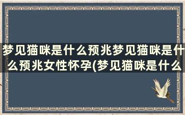 梦见猫咪是什么预兆梦见猫咪是什么预兆女性怀孕(梦见猫咪是什么预兆梦见猫咪是什么预兆女性解梦)