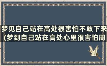 梦见自己站在高处很害怕不敢下来(梦到自己站在高处心里很害怕周公解梦)