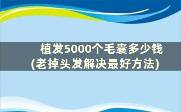 植发5000个毛囊多少钱(老掉头发解决最好方法)