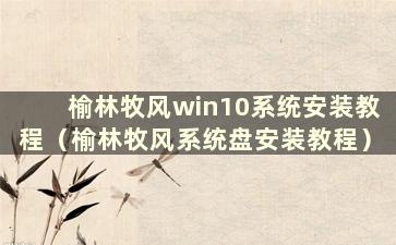 榆林牧风win10系统安装教程（榆林牧风系统盘安装教程）