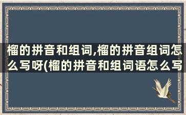 榴的拼音和组词,榴的拼音组词怎么写呀(榴的拼音和组词语怎么写)