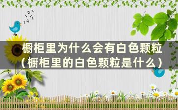 橱柜里为什么会有白色颗粒（橱柜里的白色颗粒是什么）