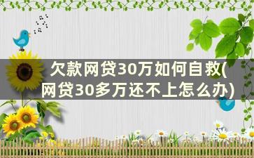 欠款网贷30万如何自救(网贷30多万还不上怎么办)