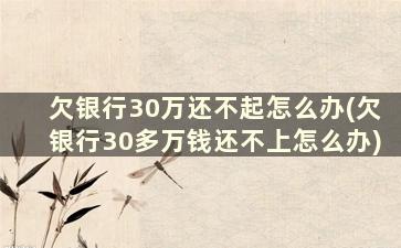 欠银行30万还不起怎么办(欠银行30多万钱还不上怎么办)