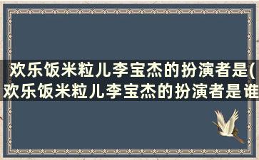 欢乐饭米粒儿李宝杰的扮演者是(欢乐饭米粒儿李宝杰的扮演者是谁呀)