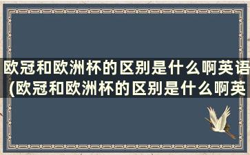 欧冠和欧洲杯的区别是什么啊英语(欧冠和欧洲杯的区别是什么啊英语怎么说)