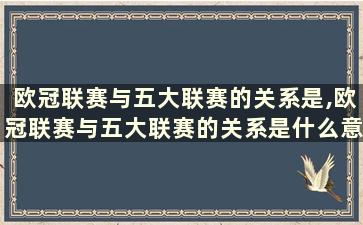 欧冠联赛与五大联赛的关系是,欧冠联赛与五大联赛的关系是什么意思