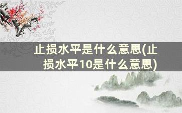 止损水平是什么意思(止损水平10是什么意思)