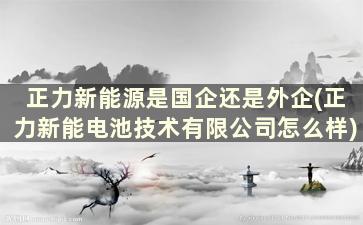 正力新能源是国企还是外企(正力新能电池技术有限公司怎么样)