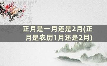 正月是一月还是2月(正月是农历1月还是2月)