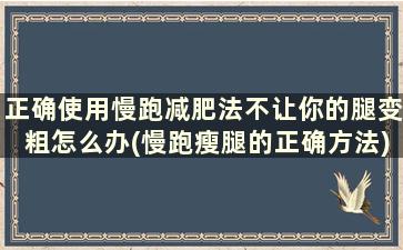 正确使用慢跑减肥法不让你的腿变粗怎么办(慢跑瘦腿的正确方法)