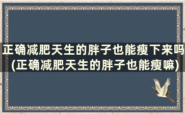 正确减肥天生的胖子也能瘦下来吗(正确减肥天生的胖子也能瘦嘛)