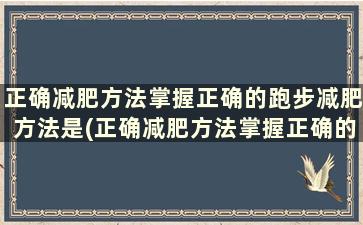 正确减肥方法掌握正确的跑步减肥方法是(正确减肥方法掌握正确的跑步减肥方法有哪些)