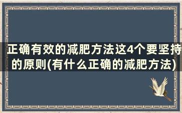 正确有效的减肥方法这4个要坚持的原则(有什么正确的减肥方法)