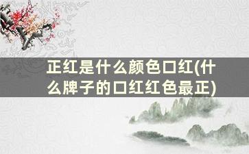 正红是什么颜色口红(什么牌子的口红红色最正)