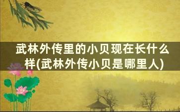 武林外传里的小贝现在长什么样(武林外传小贝是哪里人)