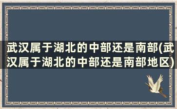 武汉属于湖北的中部还是南部(武汉属于湖北的中部还是南部地区)