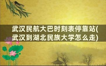 武汉民航大巴时刻表停靠站(武汉到湖北民族大学怎么走)