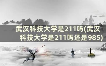 武汉科技大学是211吗(武汉科技大学是211吗还是985)