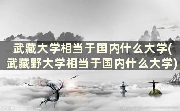 武藏大学相当于国内什么大学(武藏野大学相当于国内什么大学)