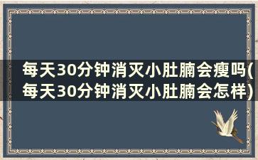 每天30分钟消灭小肚腩会瘦吗(每天30分钟消灭小肚腩会怎样)