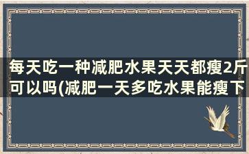 每天吃一种减肥水果天天都瘦2斤可以吗(减肥一天多吃水果能瘦下来吗)