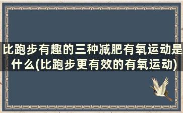 比跑步有趣的三种减肥有氧运动是什么(比跑步更有效的有氧运动)