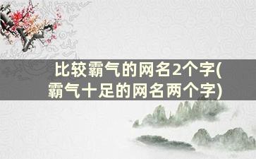 比较霸气的网名2个字(霸气十足的网名两个字)