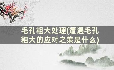 毛孔粗大处理(遭遇毛孔粗大的应对之策是什么)