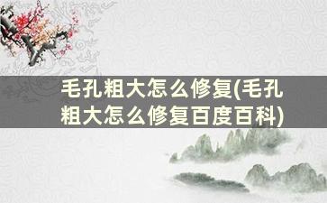 毛孔粗大怎么修复(毛孔粗大怎么修复百度百科)