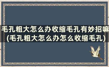 毛孔粗大怎么办收缩毛孔有妙招嘛(毛孔粗大怎么办怎么收缩毛孔)