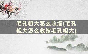 毛孔粗大怎么收缩(毛孔粗大怎么收缩毛孔粗大)