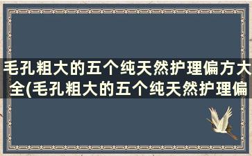 毛孔粗大的五个纯天然护理偏方大全(毛孔粗大的五个纯天然护理偏方)