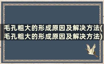 毛孔粗大的形成原因及解决方法(毛孔粗大的形成原因及解决方法)