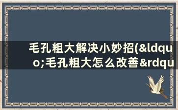 毛孔粗大解决小妙招(“毛孔粗大怎么改善”)