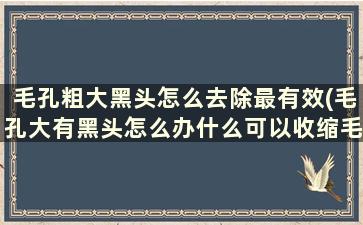 毛孔粗大黑头怎么去除最有效(毛孔大有黑头怎么办什么可以收缩毛孔)