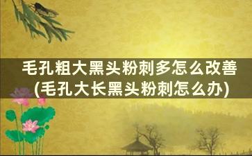 毛孔粗大黑头粉刺多怎么改善(毛孔大长黑头粉刺怎么办)