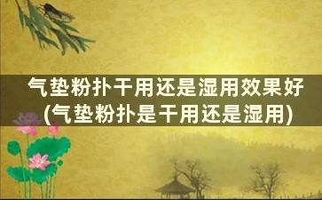 气垫粉扑干用还是湿用效果好(气垫粉扑是干用还是湿用)