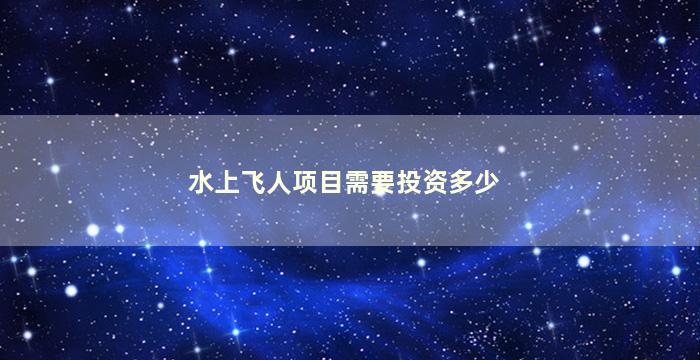 水上飞人项目需要投资多少