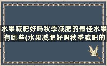 水果减肥好吗秋季减肥的最佳水果有哪些(水果减肥好吗秋季减肥的最佳水果是)