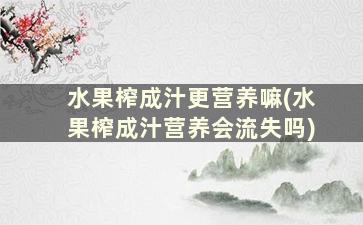 水果榨成汁更营养嘛(水果榨成汁营养会流失吗)