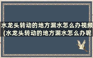 水龙头转动的地方漏水怎么办视频(水龙头转动的地方漏水怎么办呢)