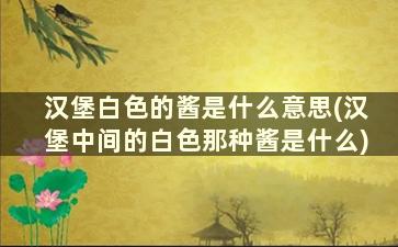 汉堡白色的酱是什么意思(汉堡中间的白色那种酱是什么)