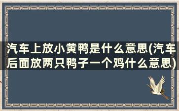 汽车上放小黄鸭是什么意思(汽车后面放两只鸭子一个鸡什么意思)