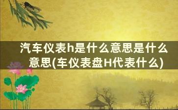 汽车仪表h是什么意思是什么意思(车仪表盘H代表什么)