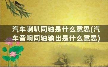 汽车喇叭同轴是什么意思(汽车音响同轴输出是什么意思)