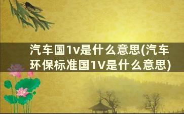 汽车国1v是什么意思(汽车环保标准国1V是什么意思)