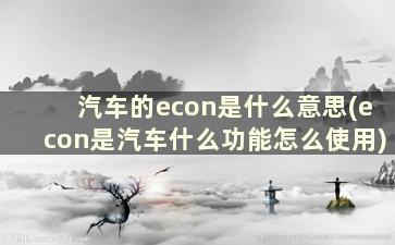 汽车的econ是什么意思(econ是汽车什么功能怎么使用)