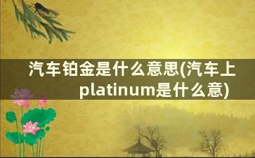 汽车铂金是什么意思(汽车上platinum是什么意)