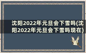 沈阳2022年元旦会下雪吗(沈阳2022年元旦会下雪吗现在)